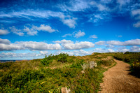 Along the Trail - Martha's Vineyard, MA