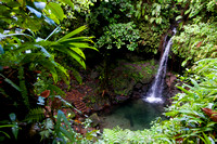 Private Pool - Emerald Pool Falls, Dominica, WI